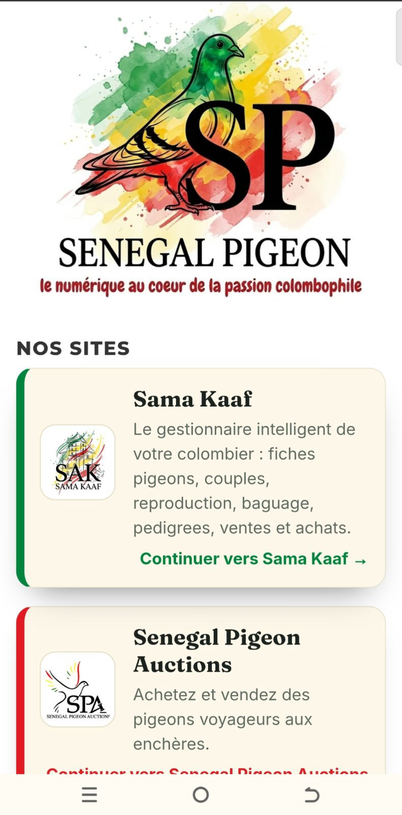 Senegal Pigeon