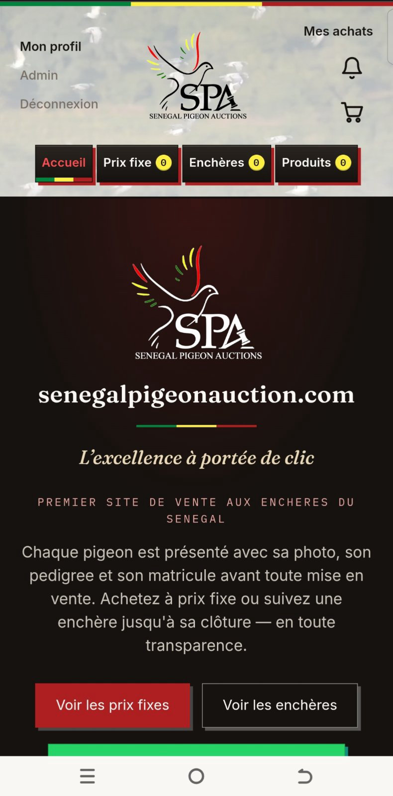 Sénégal Pigeon Auction