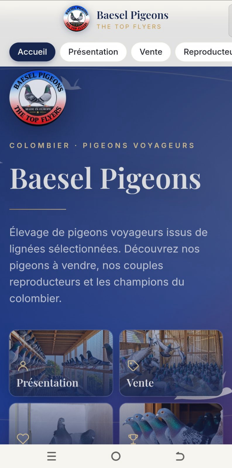 Baesel Pigeons