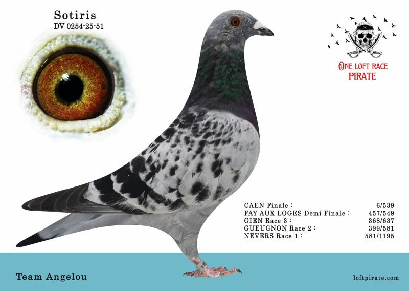 5 Pigeonneaux 2027